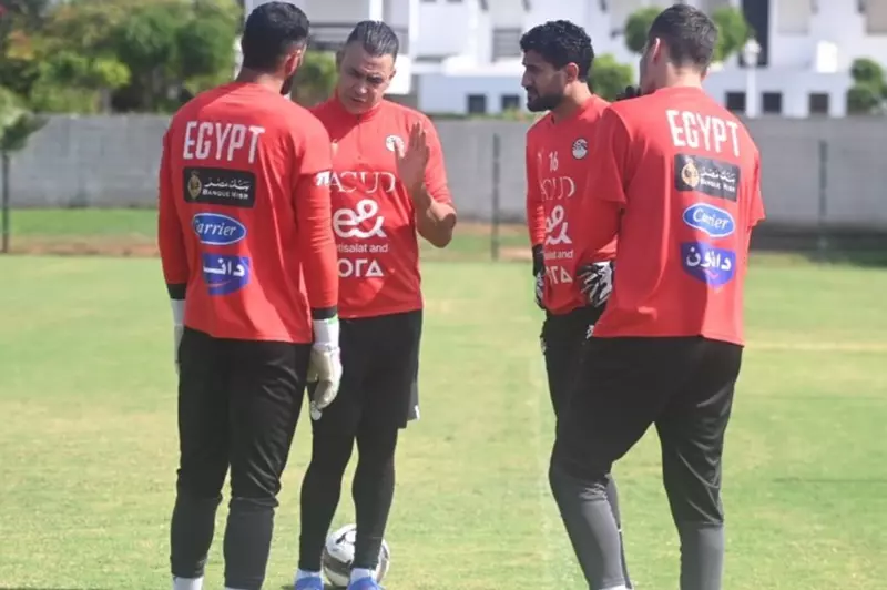 علي لطفي منتخب مصر